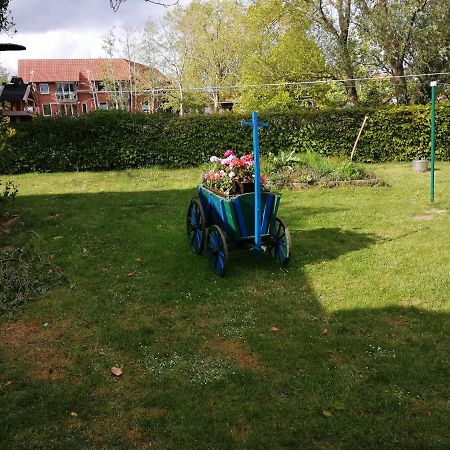 Ferienwohnung Richters Deich-Oase Brokdorf Exterior foto